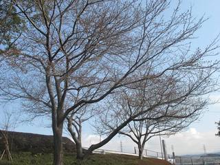 20160325@J 003.jpg